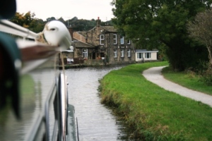 Coming into Rodley